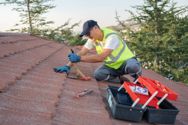 Best Storm Damage Roof Repair  in Cortland, OH