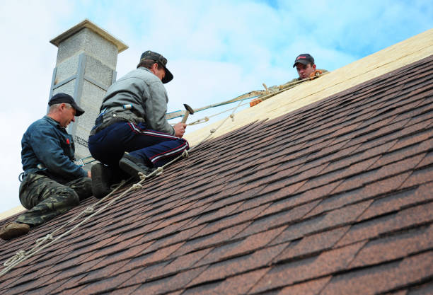 Best Roof Gutter Cleaning  in Cortland, OH
